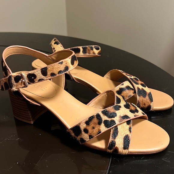 J. Crew Shoes - Leopard Print J Crew Heels